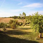 Argillosa *