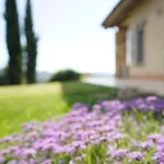 Argillosa Villa
